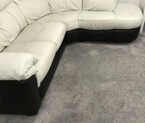 lounge carpet before